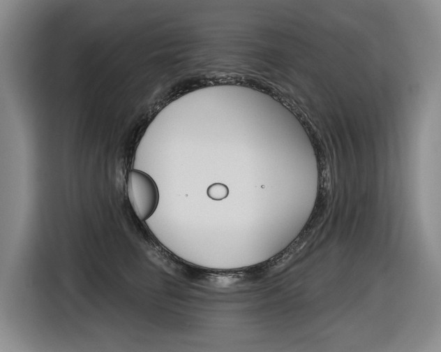 X0000116570662200912101004