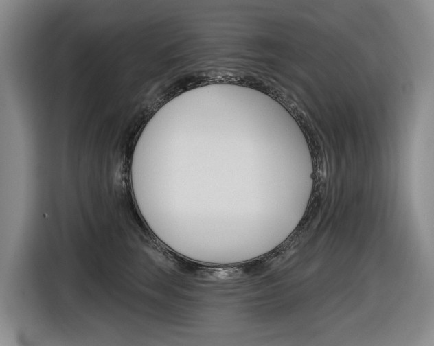 X0000116570663200912101004