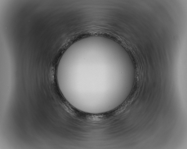 X0000116570664200912101004