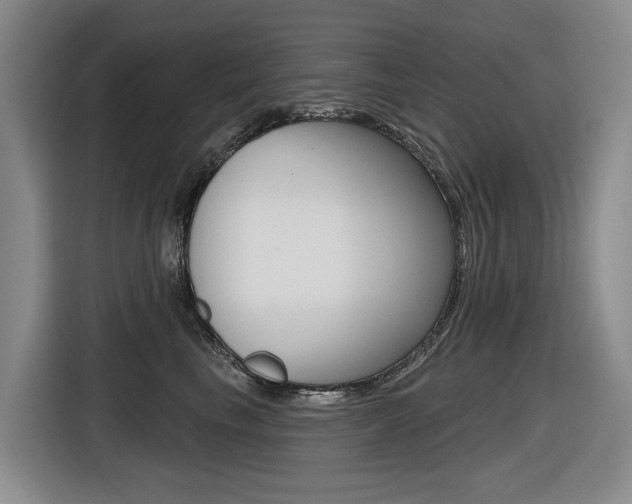 X0000116570665200912101004