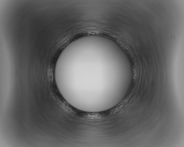 X0000116570666200912101004