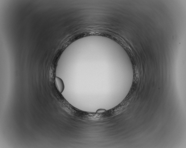 X0000116570667200912101004