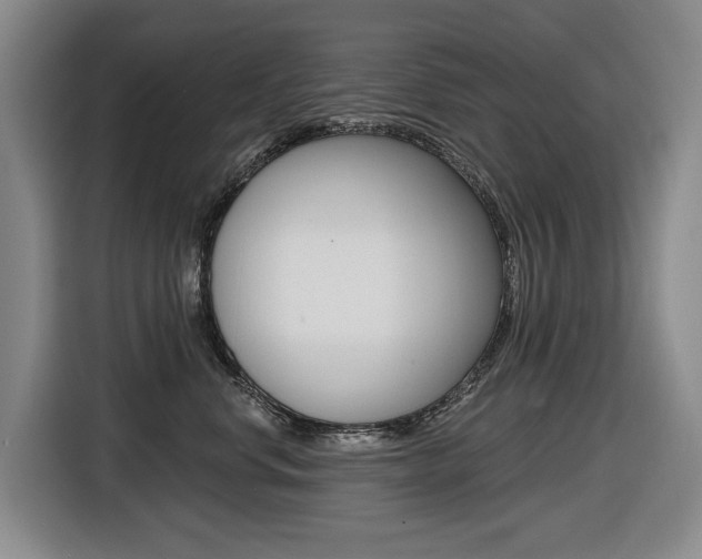 X0000116570668200912101004