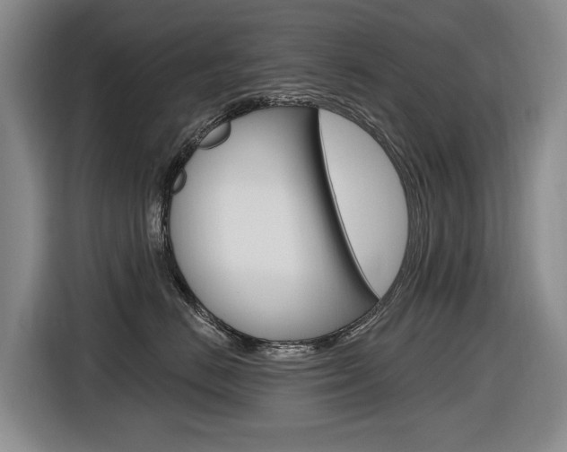 X0000116570670200912101004