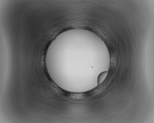 X0000116570671200912101004