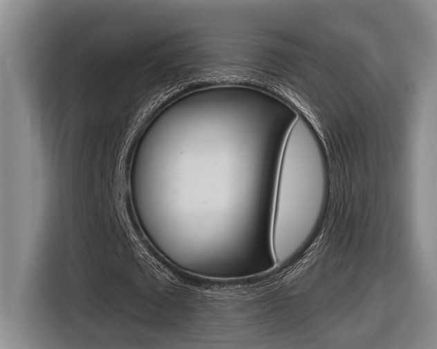 X0000116570673200912101004