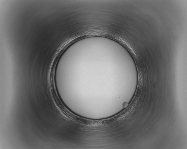 X0000116570674200912101004