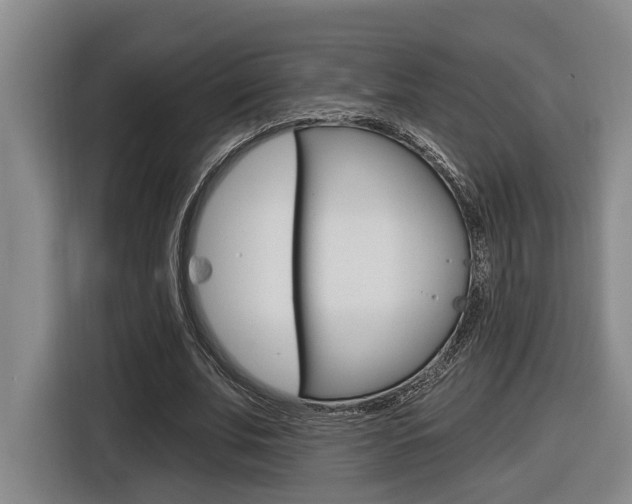 X0000116570679200912101004