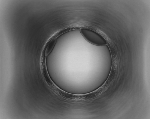 X0000116570680200912101004