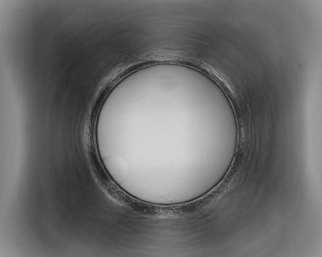 X0000116570682200912101004