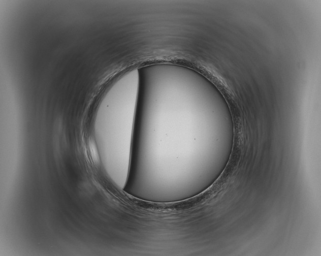 X0000116570683200912101004