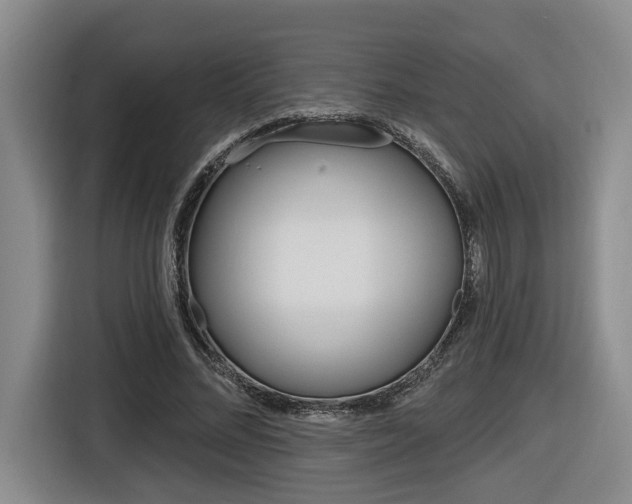 X0000116570684200912101004