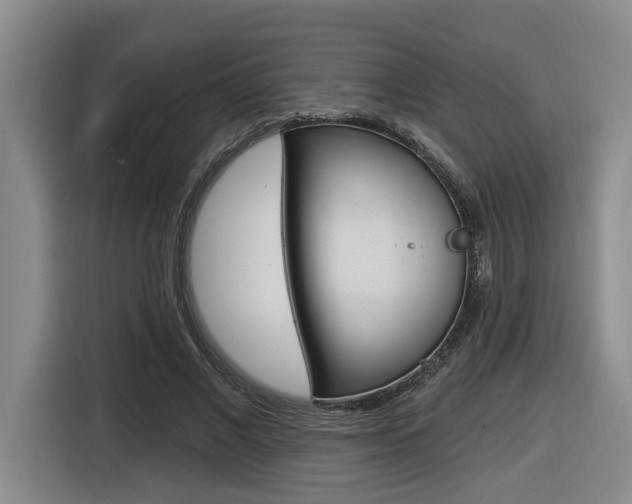 X0000116570685200912101004