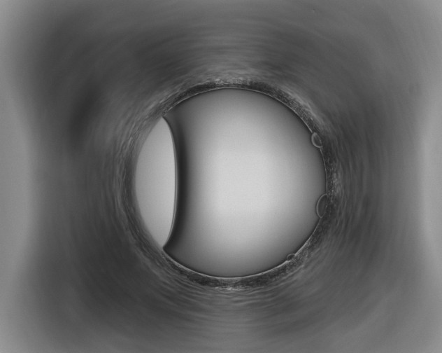 X0000116570687200912101004