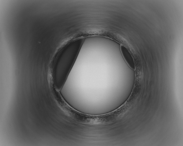 X0000116570688200912101004