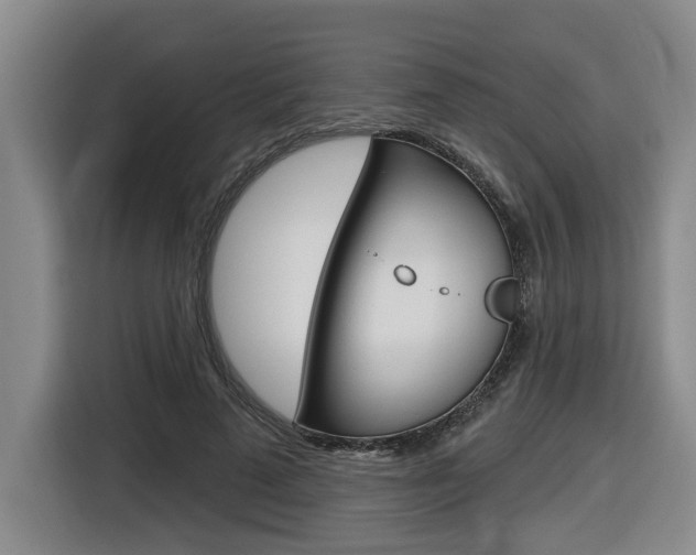 X0000116570689200912101004