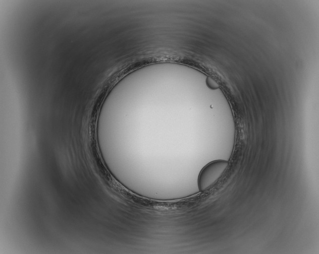 X0000116570690200912101004