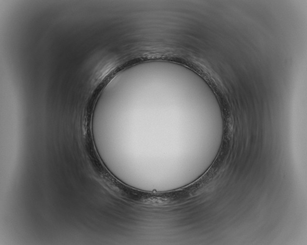 X0000116570691200912101004