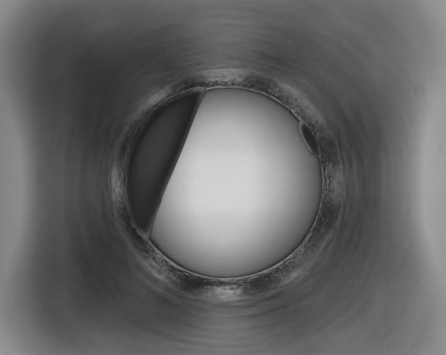 X0000116570692200912101004