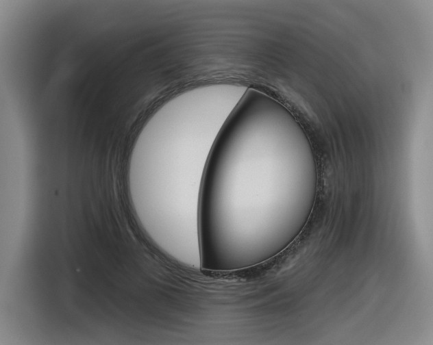 X0000116570693200912101004