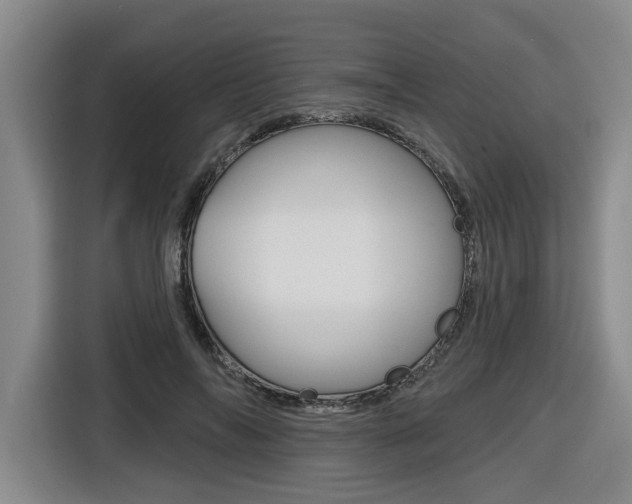 X0000116570694200912101004