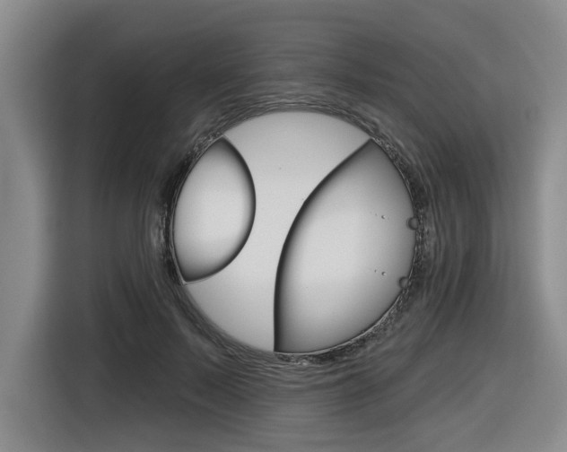 X0000116570695200912101004