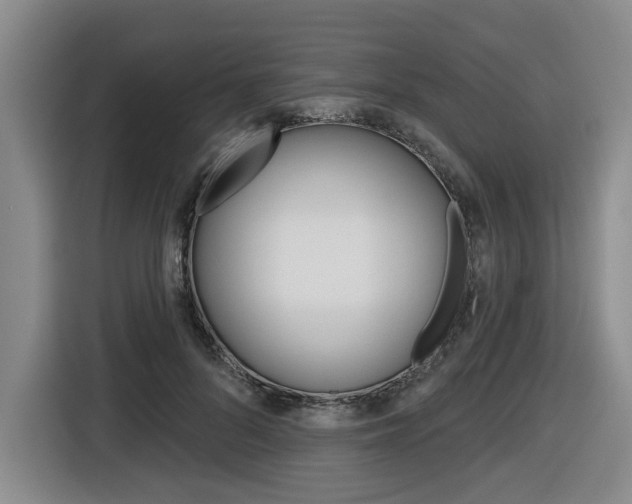 X0000116570696200912101004