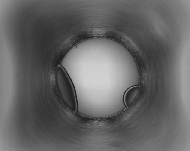 X0000116570697200912101004