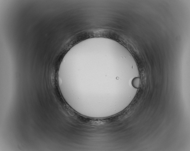 X0000116570698200912101004