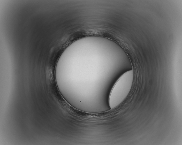 X0000116570699200912101003