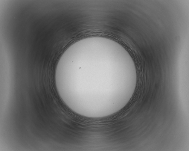 X0000116570700200912101003