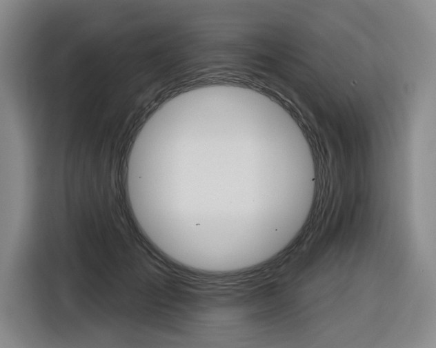 X0000116570701200912101003