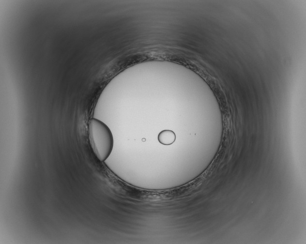 X0000116570702200912101003