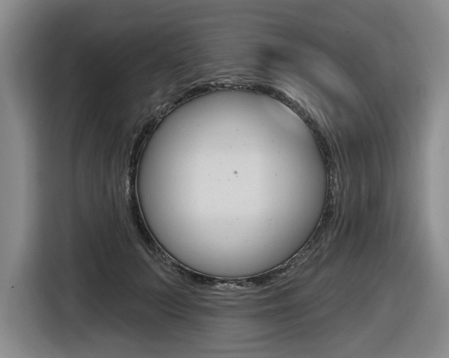 X0000116570703200912101003