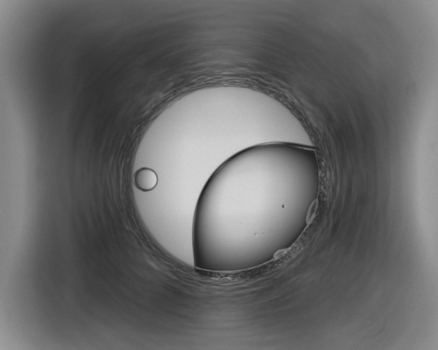 X0000116570704200912101003