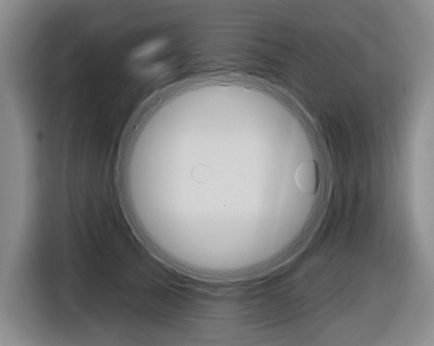 X0000116570705200912101003