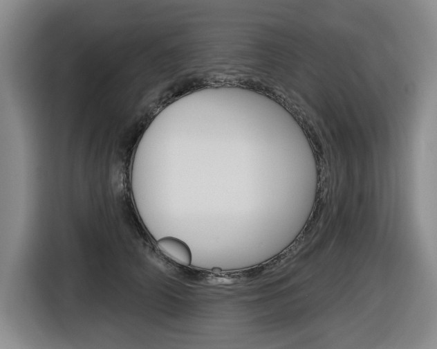 X0000116570706200912101003