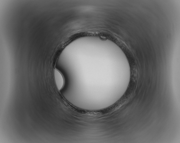 X0000116570707200912101003