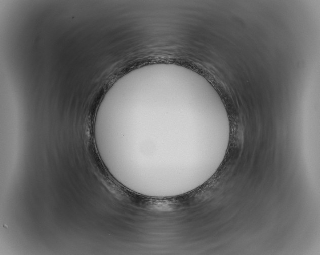 X0000116570710200912101003