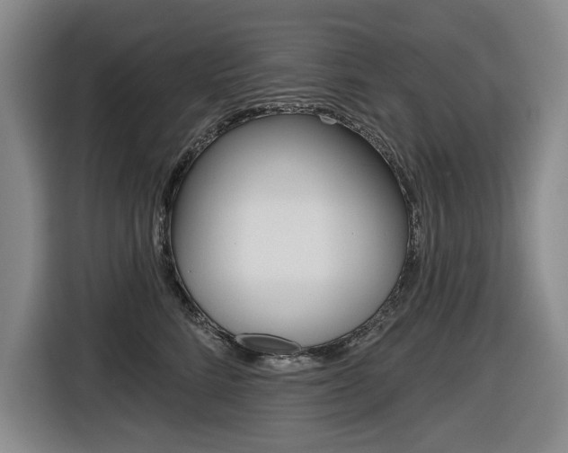 X0000116570712200912101003