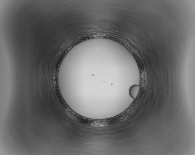 X0000116570714200912101003