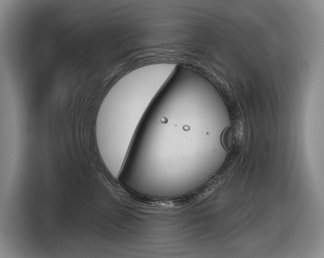 X0000116570715200912101003