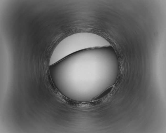 X0000116570716200912101003