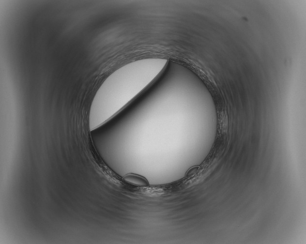 X0000116570719200912101003