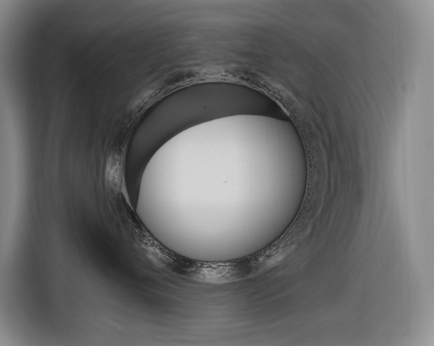 X0000116570720200912101003