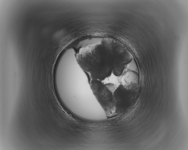 X0000116570721200912101003