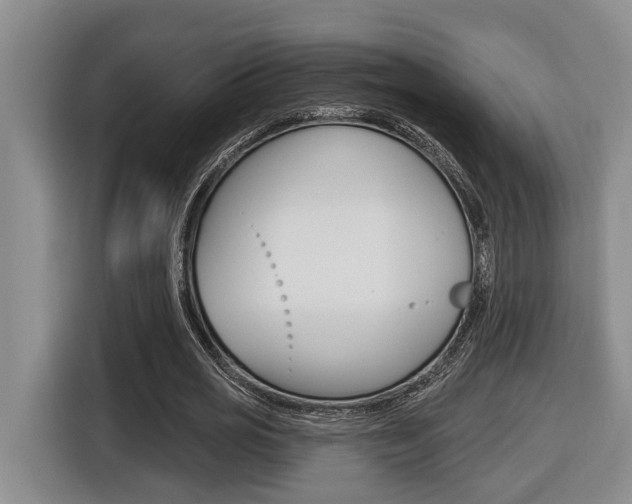 X0000116570725200912101003