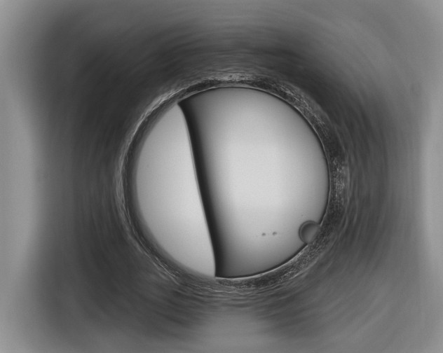 X0000116570727200912101003