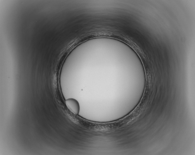 X0000116570729200912101003