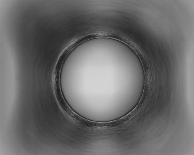 X0000116570730200912101003